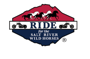 8th Annual Ride for the Salt River Wild Horses