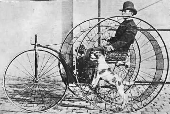 Aged picture of a Dog Powered Trike Cynosphere